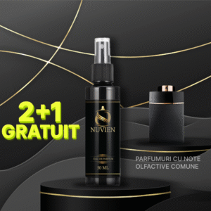 Apa de parfum, 50 ml - 017, inspirat din Man In Black - Bvlgari