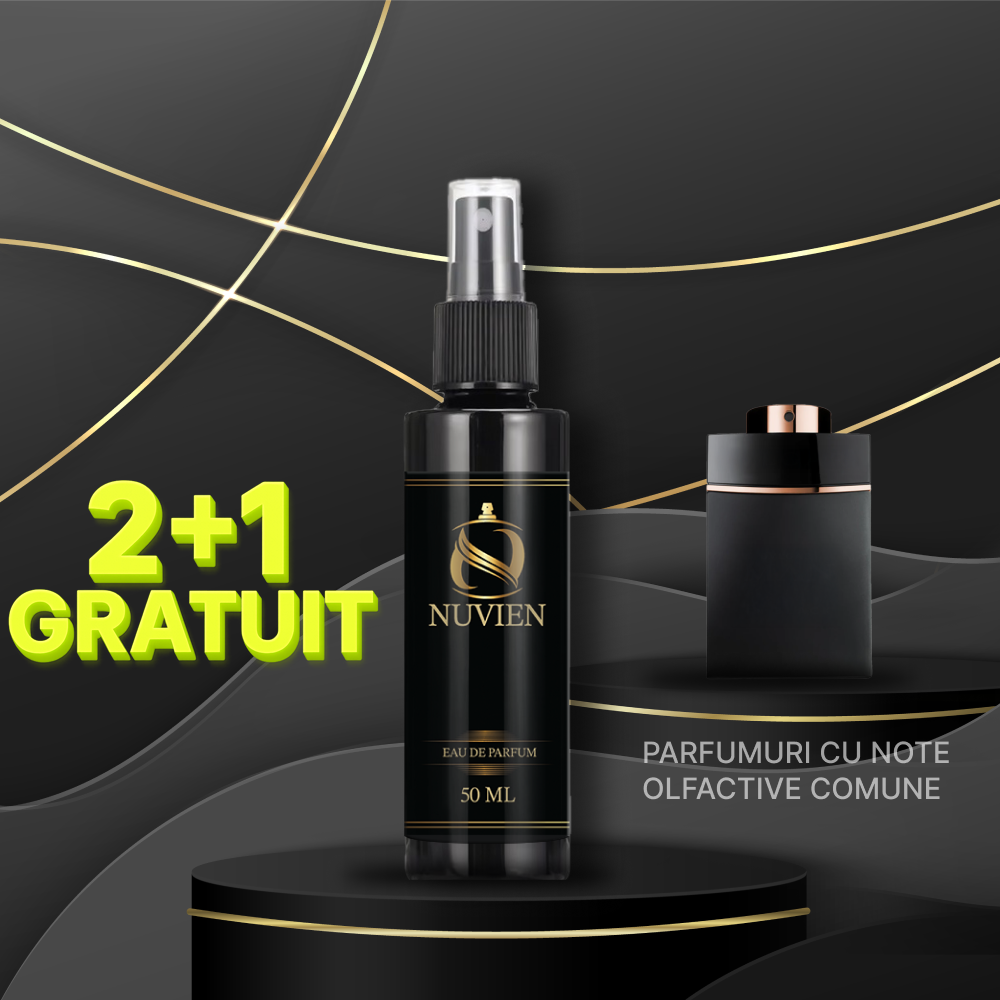 Apa de parfum, 50 ml - 017, inspirat din Man In Black - Bvlgari